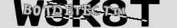 Retype the CAPTCHA code from the image
