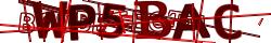 Retype the CAPTCHA code from the image
