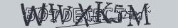 Retype the CAPTCHA code from the image