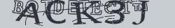 Retype the CAPTCHA code from the image