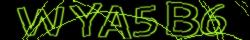 Retype the CAPTCHA code from the image