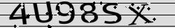 Retype the CAPTCHA code from the image