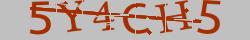 Retype the CAPTCHA code from the image