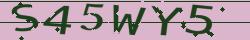 Retype the CAPTCHA code from the image