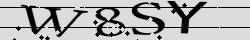Retype the CAPTCHA code from the image