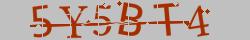 Retype the CAPTCHA code from the image