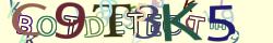 Retype the CAPTCHA code from the image