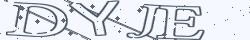 Retype the CAPTCHA code from the image