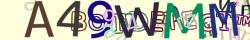 Retype the CAPTCHA code from the image