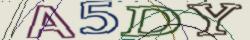 Retype the CAPTCHA code from the image