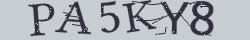 Retype the CAPTCHA code from the image