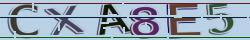 Retype the CAPTCHA code from the image