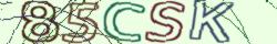 Retype the CAPTCHA code from the image
