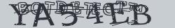 Retype the CAPTCHA code from the image