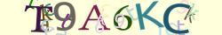 Retype the CAPTCHA code from the image