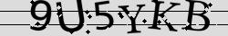 Retype the CAPTCHA code from the image