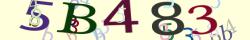 Retype the CAPTCHA code from the image