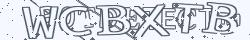 Retype the CAPTCHA code from the image