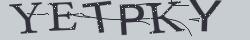 Retype the CAPTCHA code from the image
