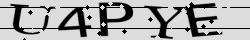 Retype the CAPTCHA code from the image