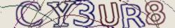 Retype the CAPTCHA code from the image