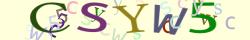 Retype the CAPTCHA code from the image