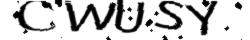 Retype the CAPTCHA code from the image