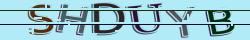 Retype the CAPTCHA code from the image