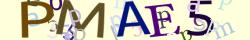 Retype the CAPTCHA code from the image