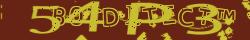 Retype the CAPTCHA code from the image