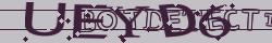 Retype the CAPTCHA code from the image