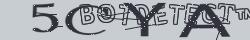 Retype the CAPTCHA code from the image