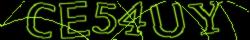 Retype the CAPTCHA code from the image