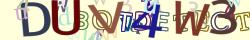 Retype the CAPTCHA code from the image
