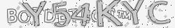 Retype the CAPTCHA code from the image