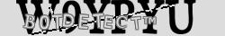 Retype the CAPTCHA code from the image