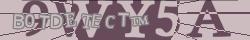 Retype the CAPTCHA code from the image