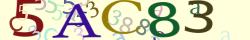 Retype the CAPTCHA code from the image