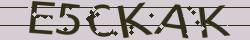 Retype the CAPTCHA code from the image