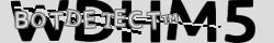 Retype the CAPTCHA code from the image