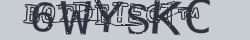 Retype the CAPTCHA code from the image