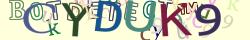 Retype the CAPTCHA code from the image