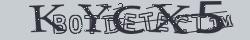 Retype the CAPTCHA code from the image
