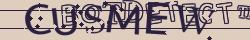 Retype the CAPTCHA code from the image