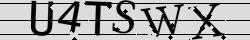 Retype the CAPTCHA code from the image