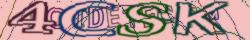 Retype the CAPTCHA code from the image