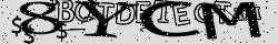 Retype the CAPTCHA code from the image