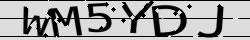 Retype the CAPTCHA code from the image