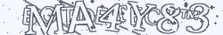 Retype the CAPTCHA code from the image