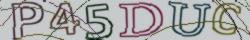 Retype the CAPTCHA code from the image